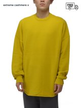 ポケモンレジェンズ】 新品 extreme cashmere rudolf エクストリーム